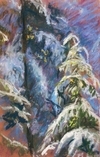 Snow on Trees, Hornby Island, B.C. 2005-09
