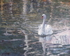 Reflecting on Grace