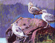 Study for Seagulls on a Rock, Hornby Island